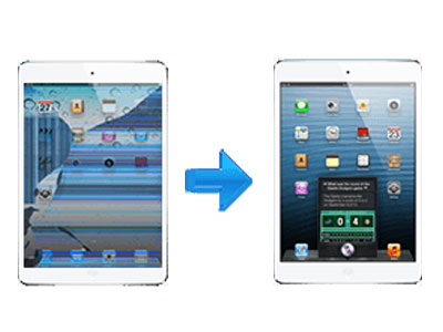 iPad Mini 2 LCD Display Screen Replacement