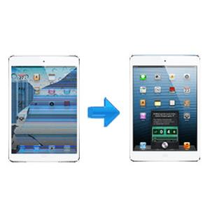 Photo of iPad Mini LCD Replacement