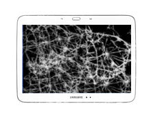 Samsung Galaxy Tab3 P5220 Complete Screen (LCD + Touch) Repair Service (10.1 screen)