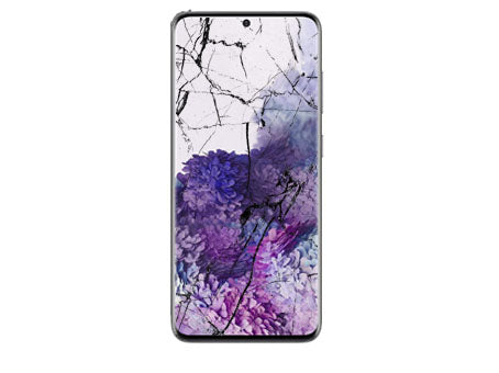 Samsung Galaxy S20 FE Screen Replacement